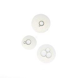 sturm clarifying serum