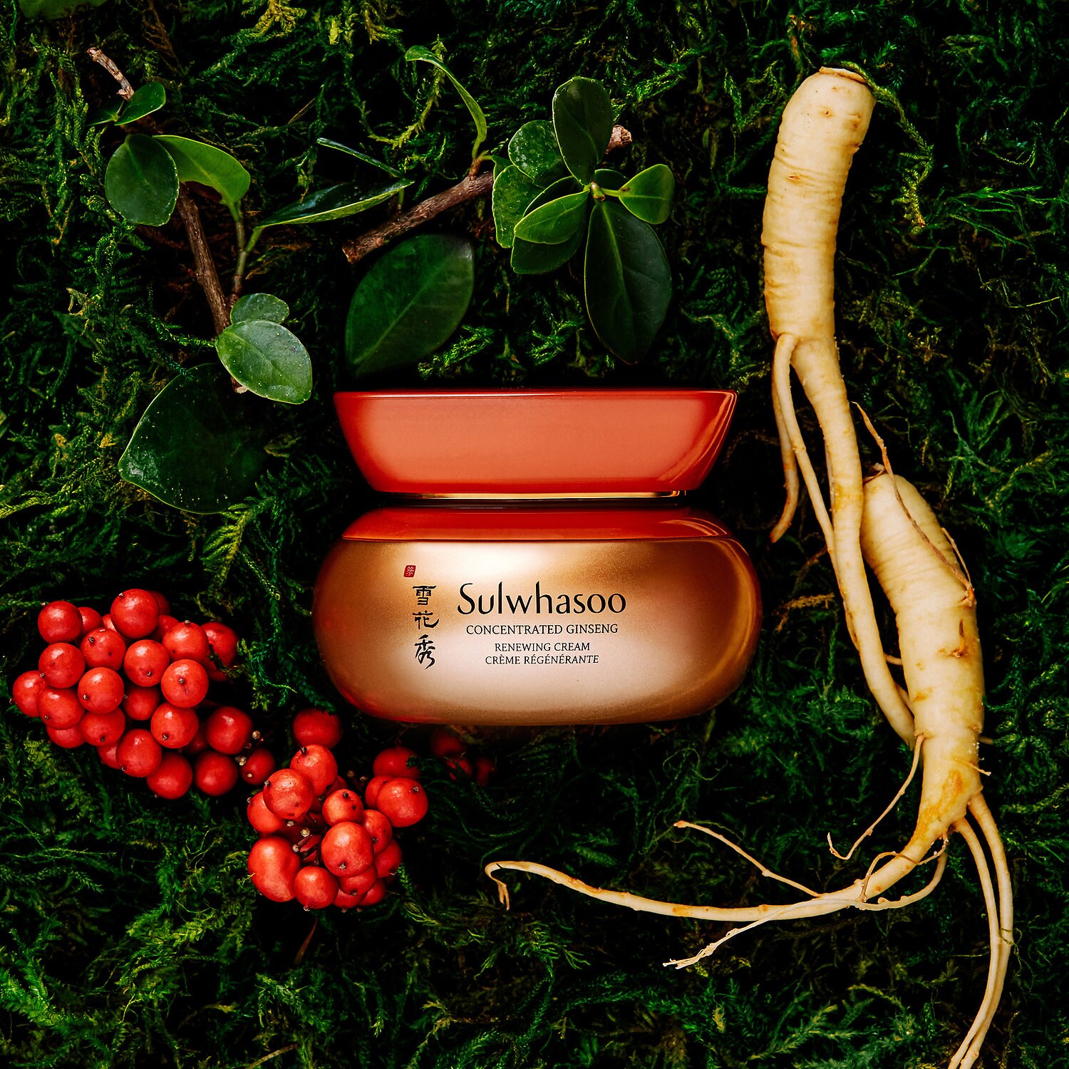 sulwhasoo anti aging cream