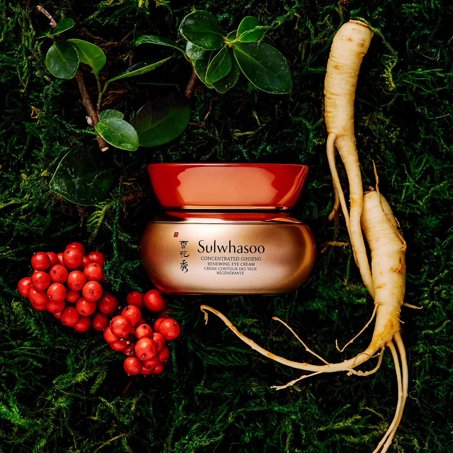 sulwhasoo night cream