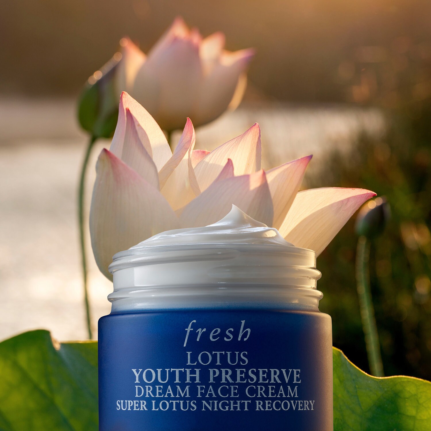 lightweight night moisturizer