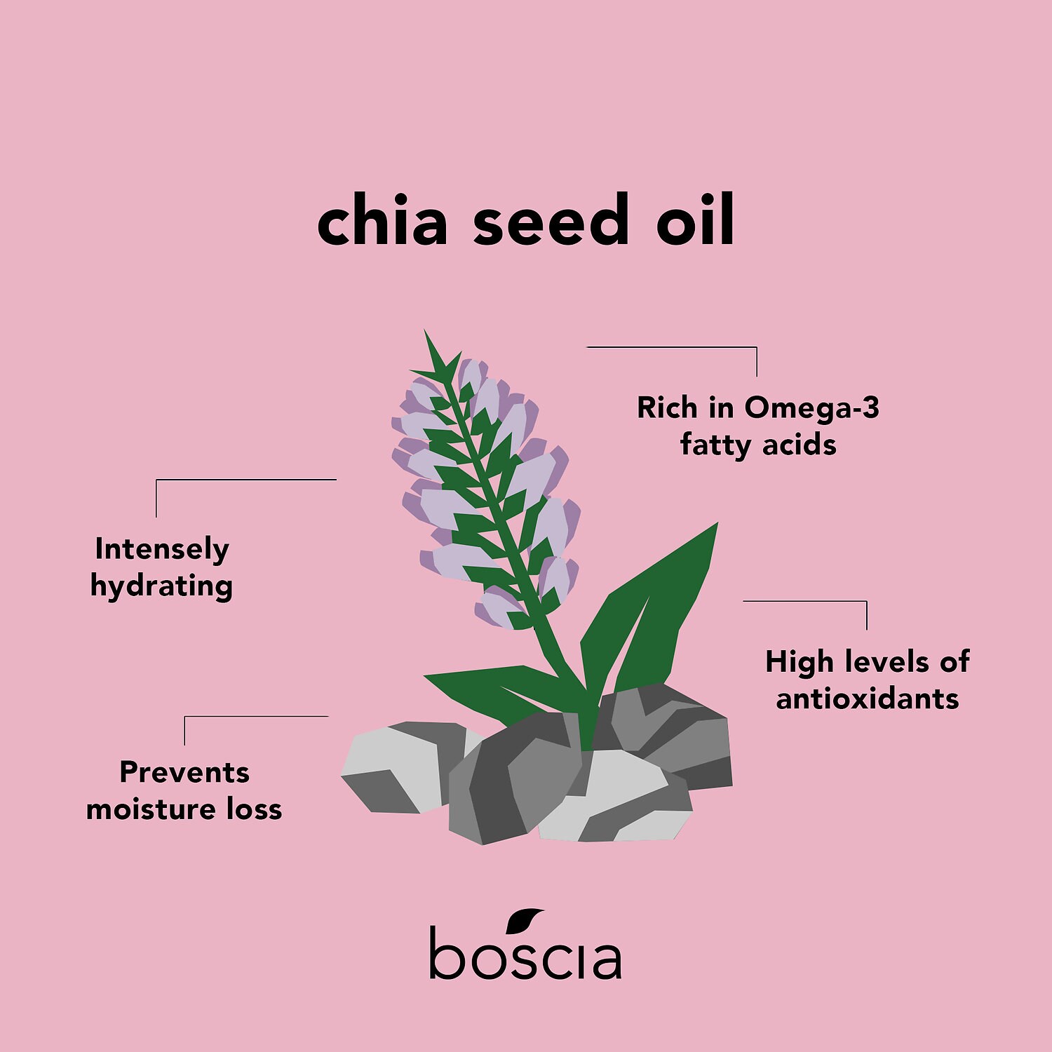 boscia chia moisturizer