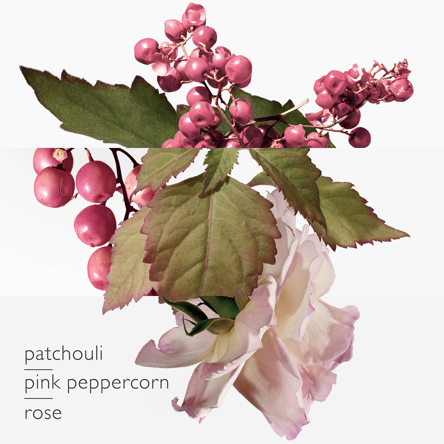 sephora twilly hermes