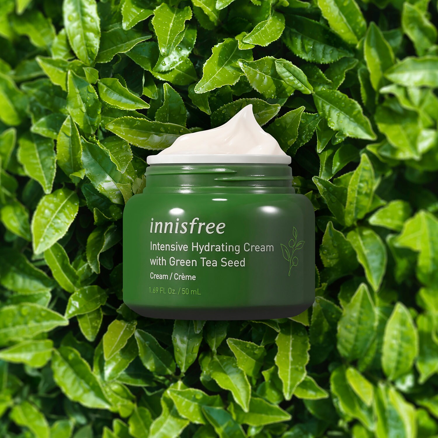 innisfree hydrating cream