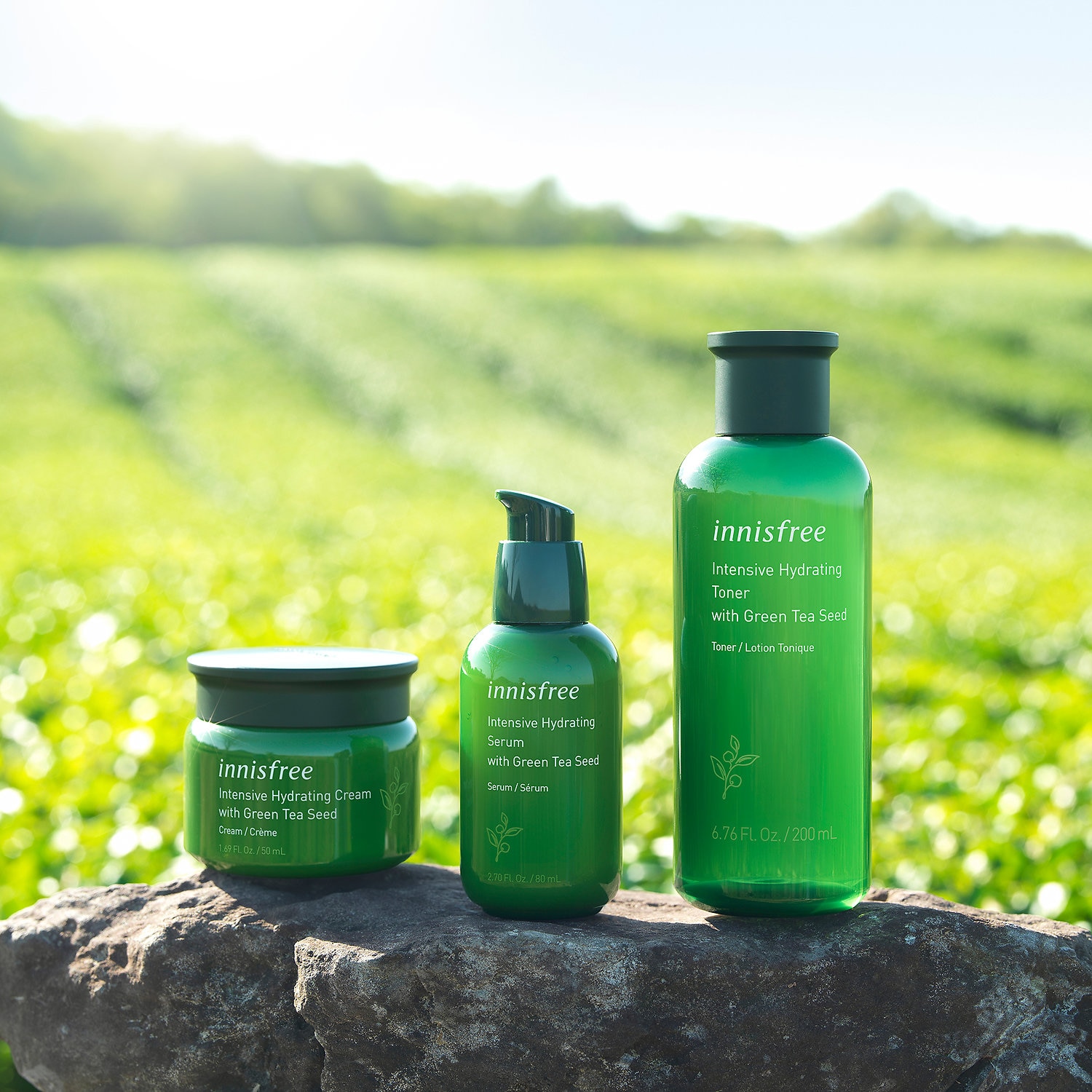 innisfree moisturiser