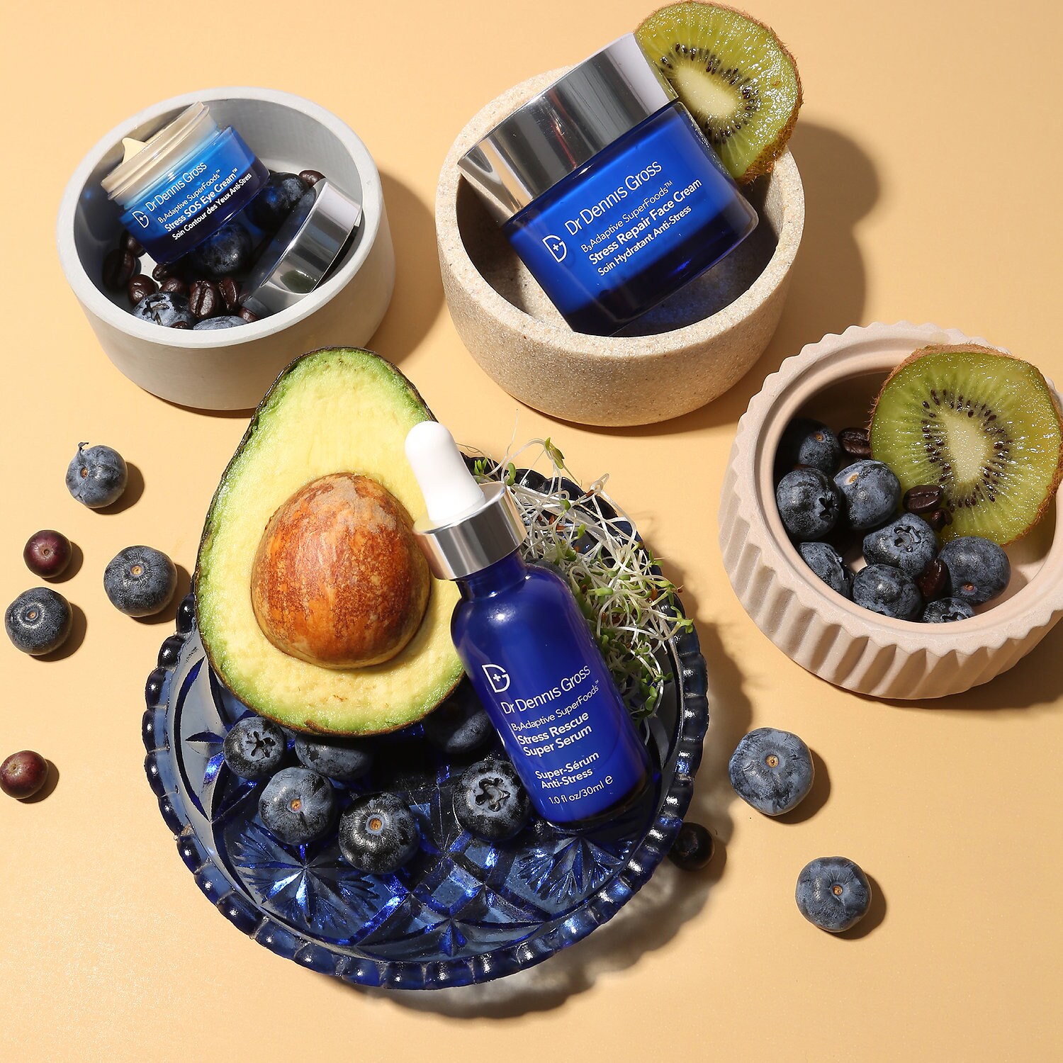 dr dennis gross anti stress