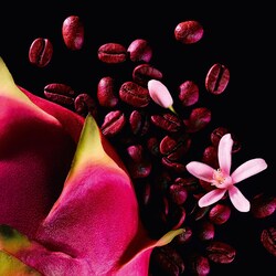 Black Opium Eau de Parfum Neon - Yves 