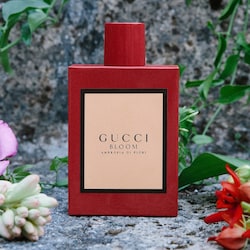 Gucci Bloom Ambrosia di Fiori Eau de Parfum Intense For Her Rollerball -  Gucci | Sephora