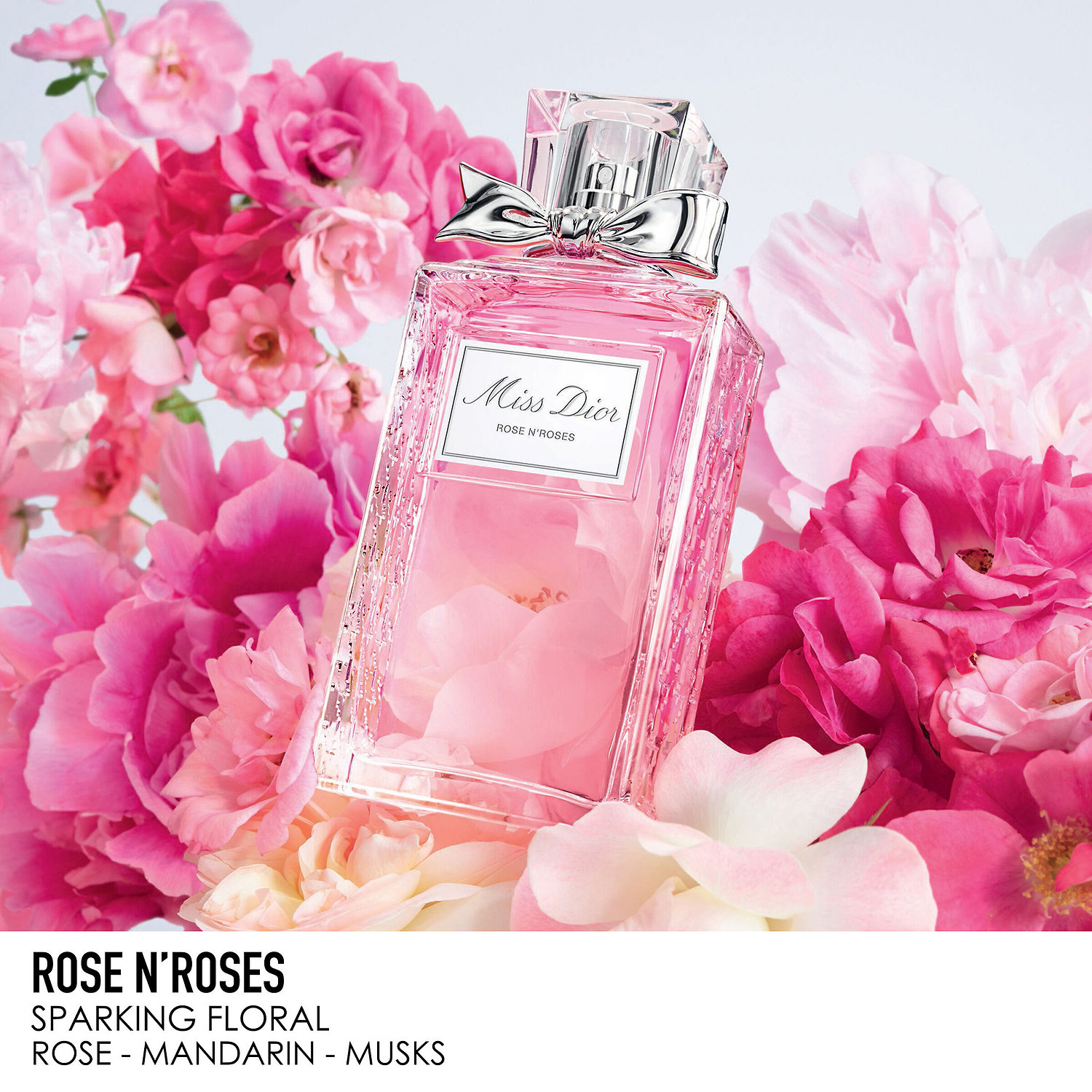 rose dior perfume