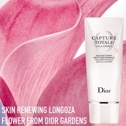 dior capture cleanser