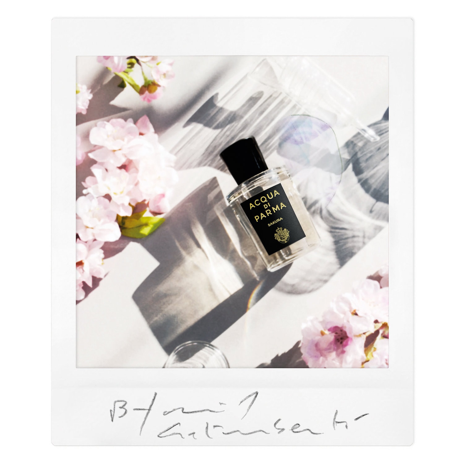 sakura eau de parfum