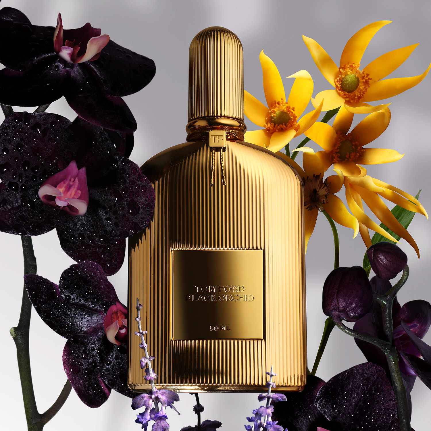 Black Orchid Parfum Gold - Sabina