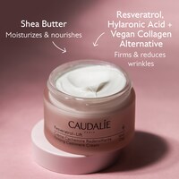 Resveratrol Lift Retinol Alternative Firming Cashmere Moisturizer