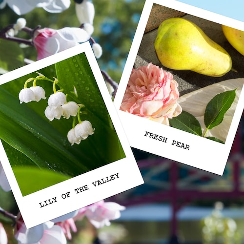 Designed by a renowned fragrance house, the 'REPLICA' Springtime in a Park scented candle aims to bring the invigorating scents of spring directly into your home. It is part of the 'REPLICA' collection, which focuses on capturing the essence of specific moments and locations.