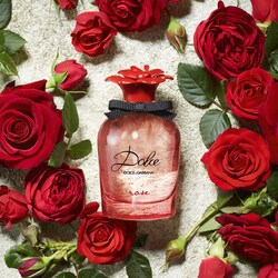 dolce gabbana rose
