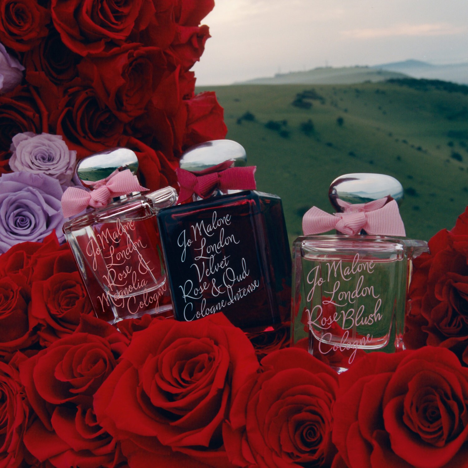 Special-Edition Rose Blush Cologne - Jo Malone London | Sephora