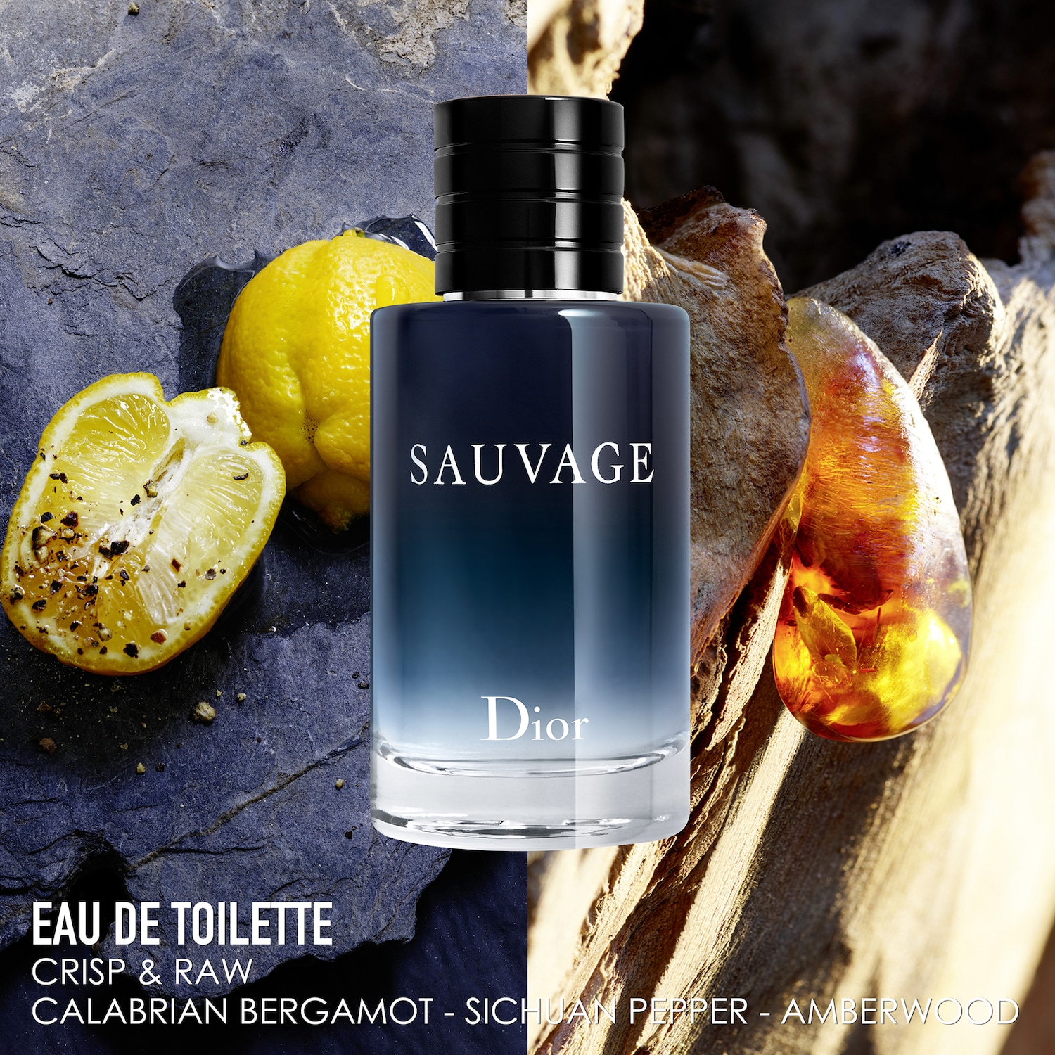 dior sauvage eau de parfum vs eau de toilette