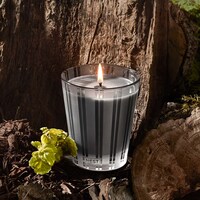 Mini Charcoal Woods Candle