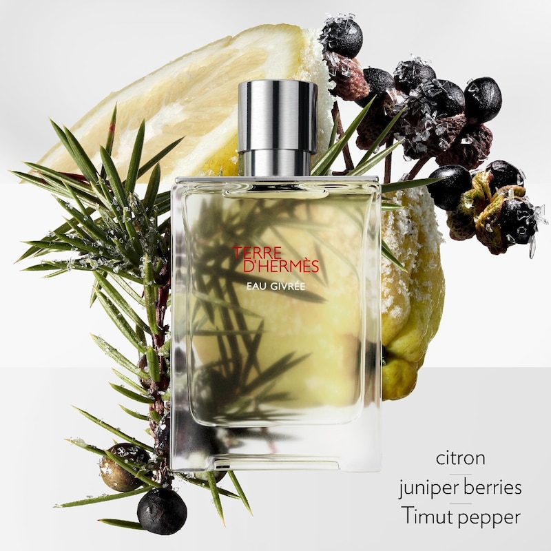 Terre d'Hermès Eau Givrée Eau de Parfum thumbnail 2