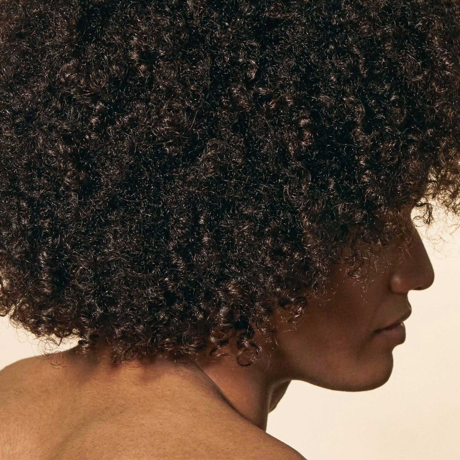 Ceremonia Guava Mini Hair Kit For Heat Protecting, Detangling