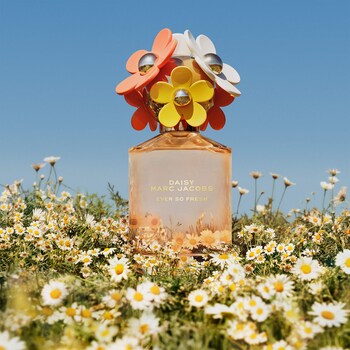 Very daisy perfume Clearance