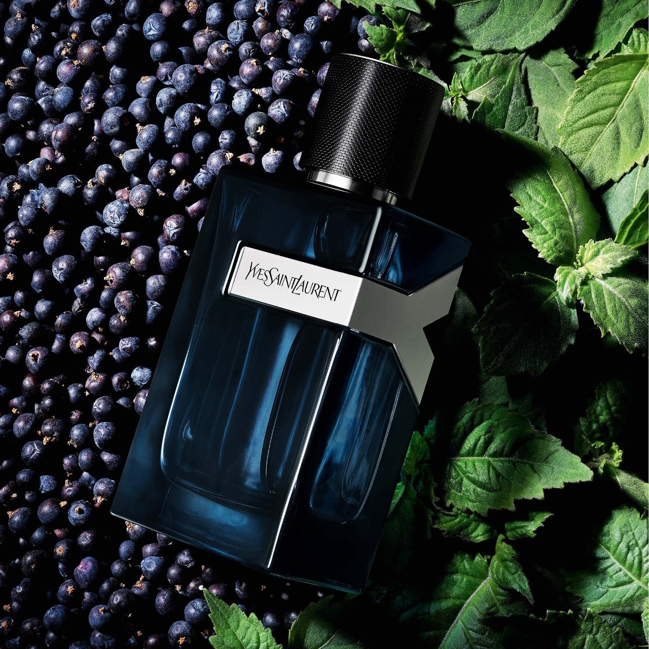 Y Eau de Parfum Intense - Laurent |