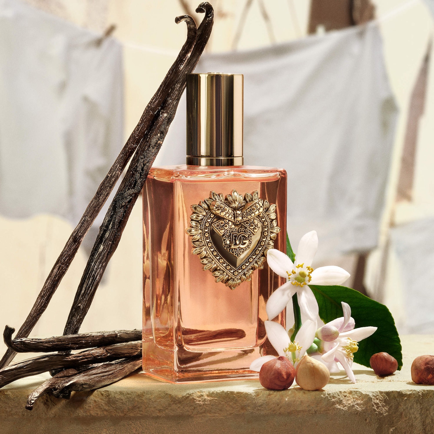 Devotion Eau de Parfum Intense with Hazelnut & Vanilla