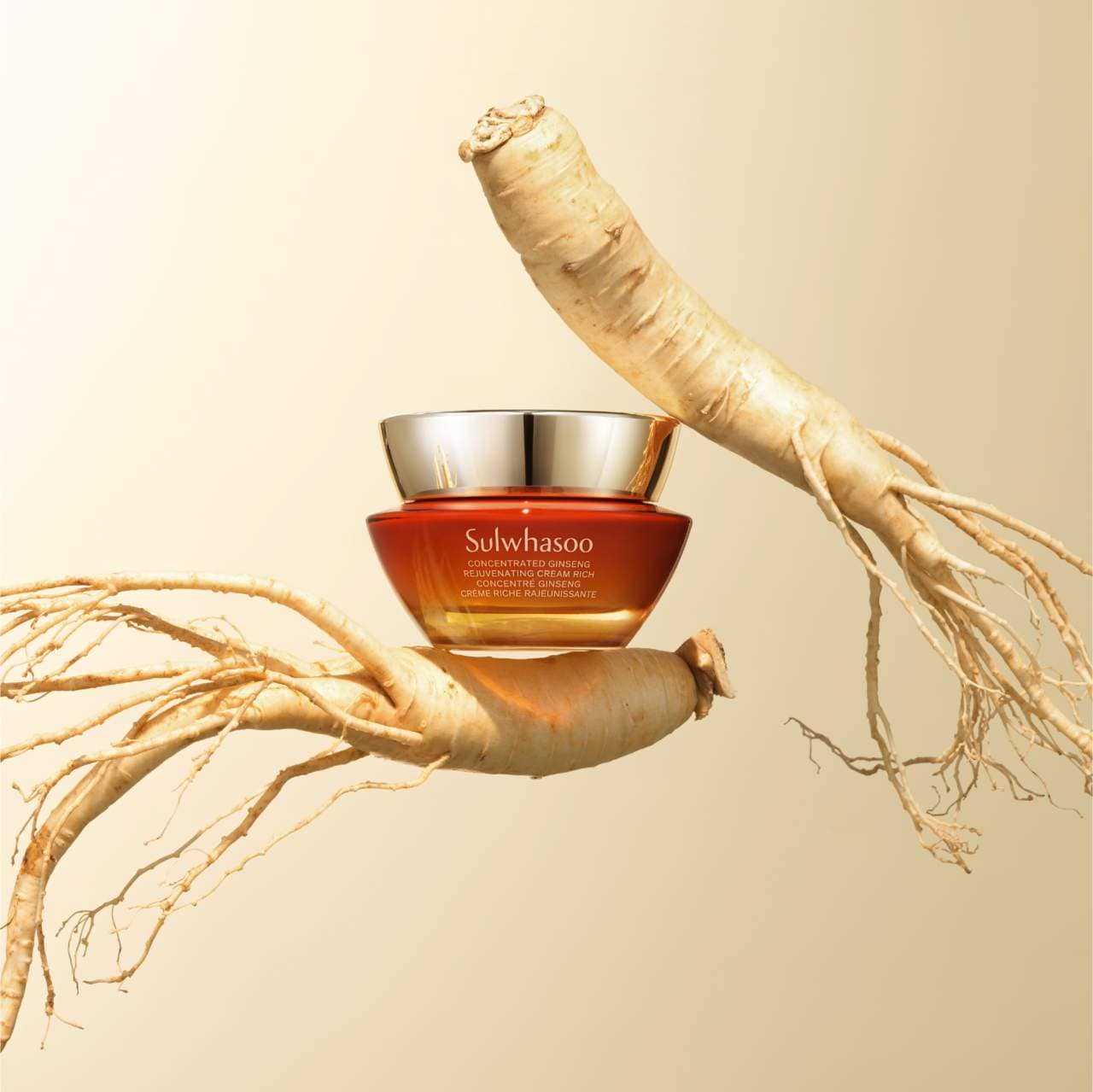Насыщенный омолаживающий антивозрастной крем Sulwhasoo Concentrated Ginseng с женьшенем — фото 2