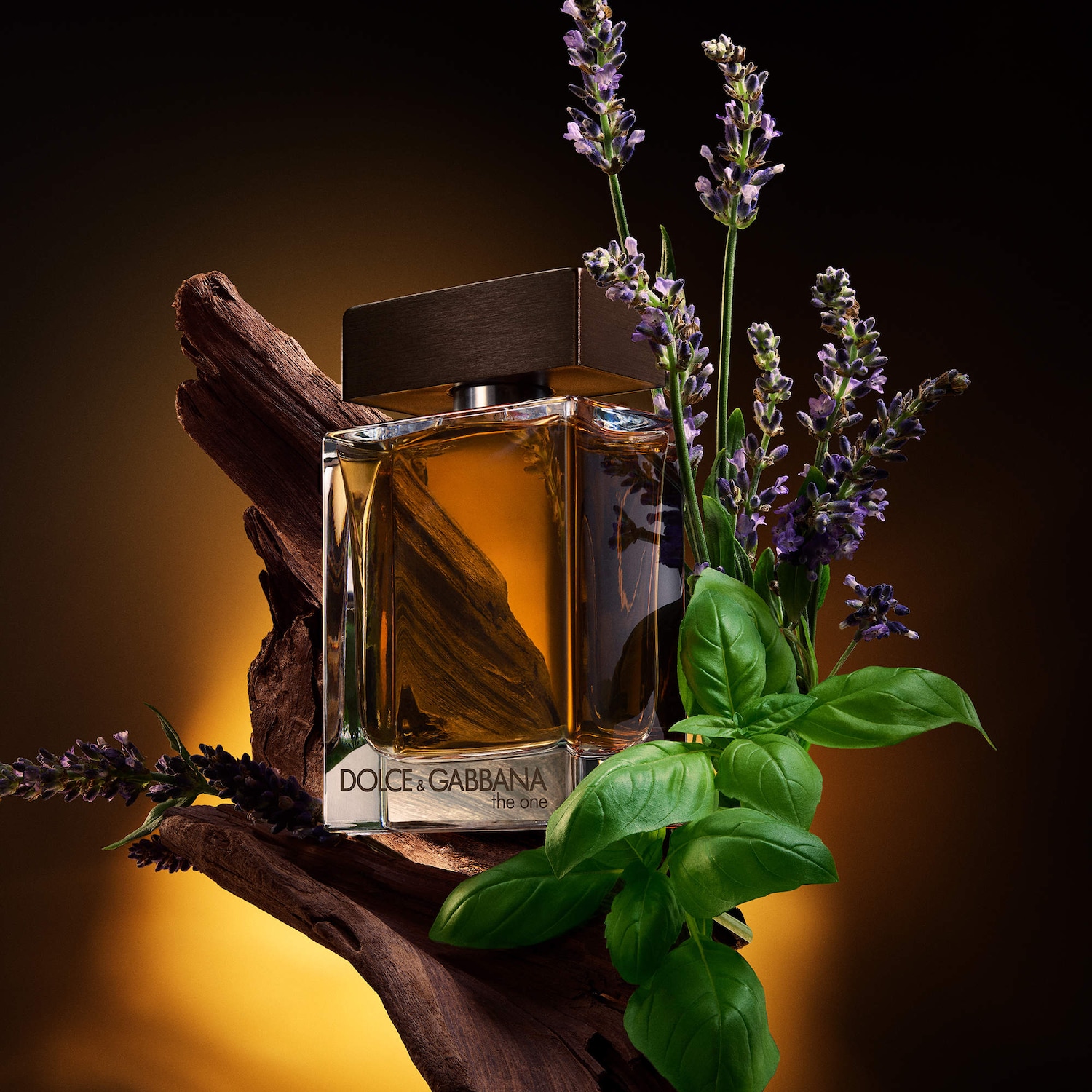 The One For Men - DOLCE&GABBANA | Sephora