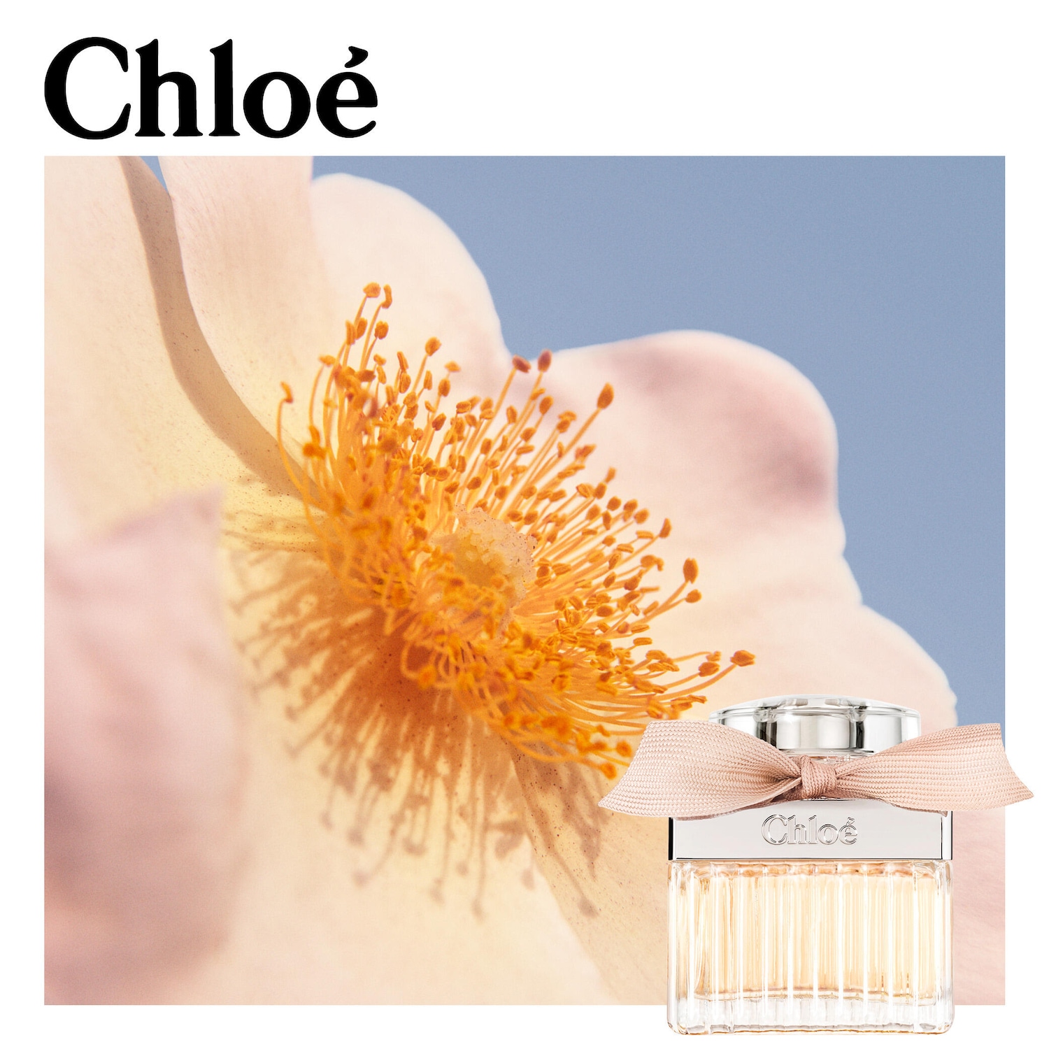 Chloé Eau de Parfum with Rose & Amber