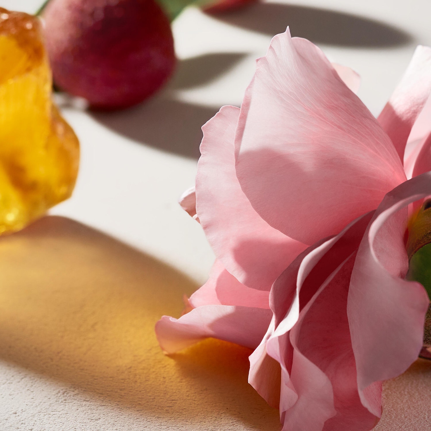 Chloé Eau de Parfum with Rose & Amber