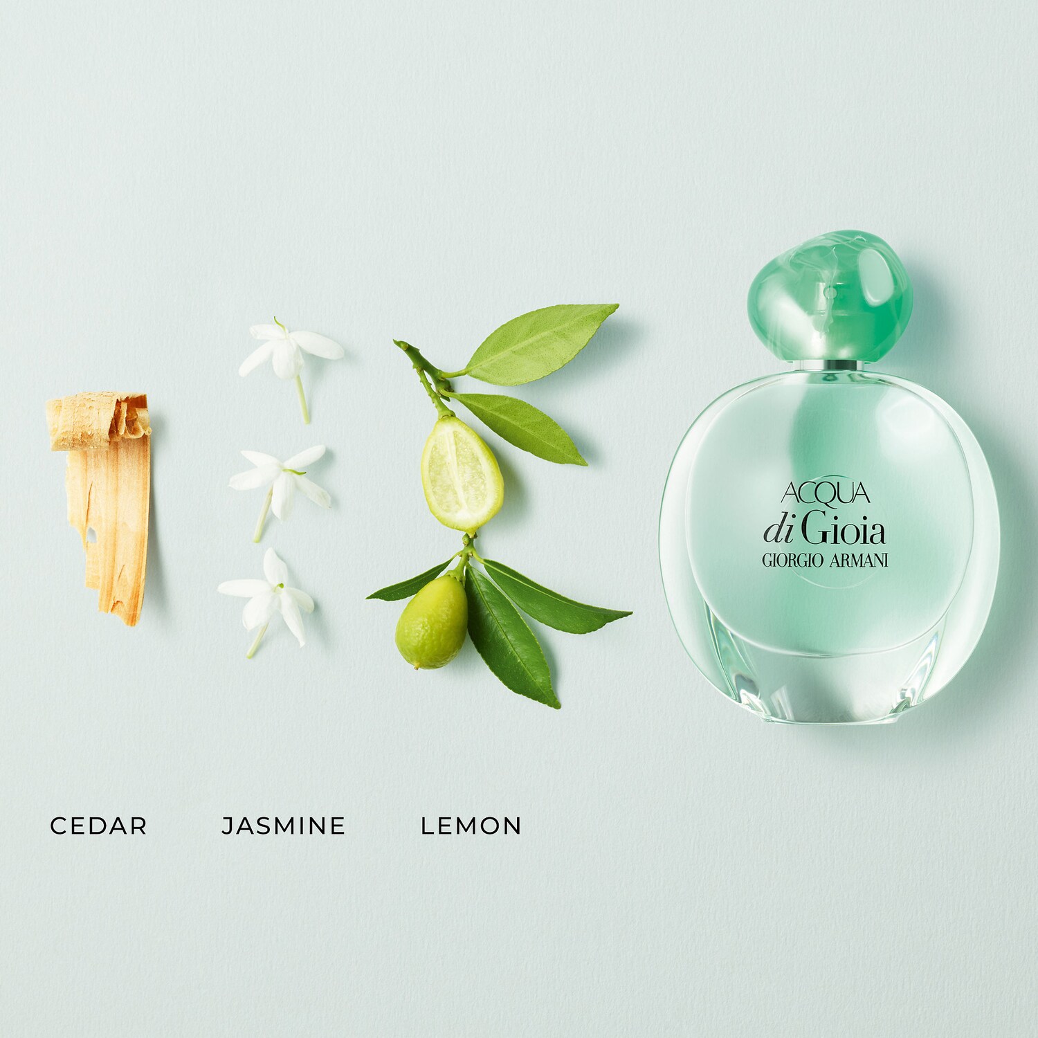 acqua di gioia fragrance