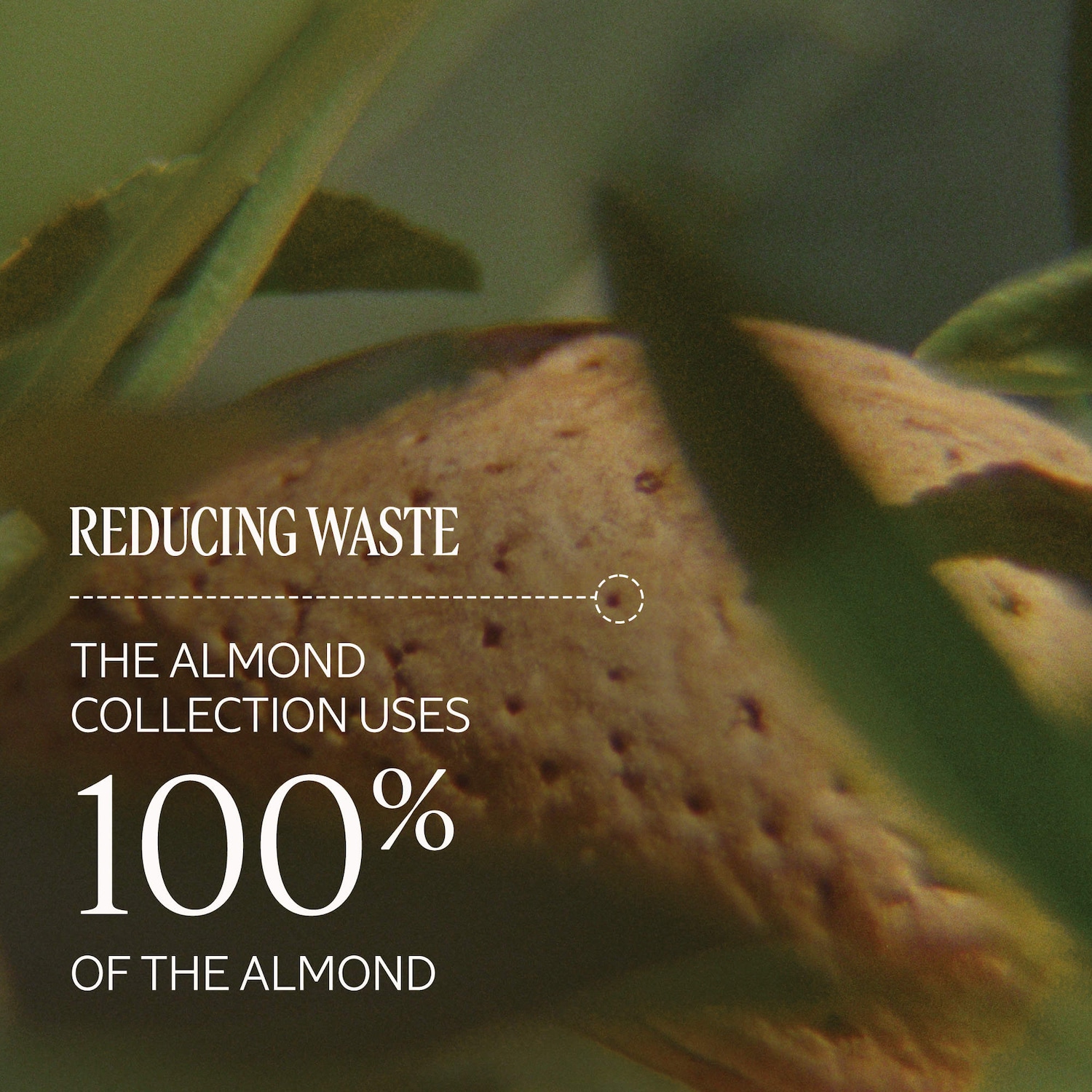 Cleansing And Softening Shower Oil With Almond Oil Mini