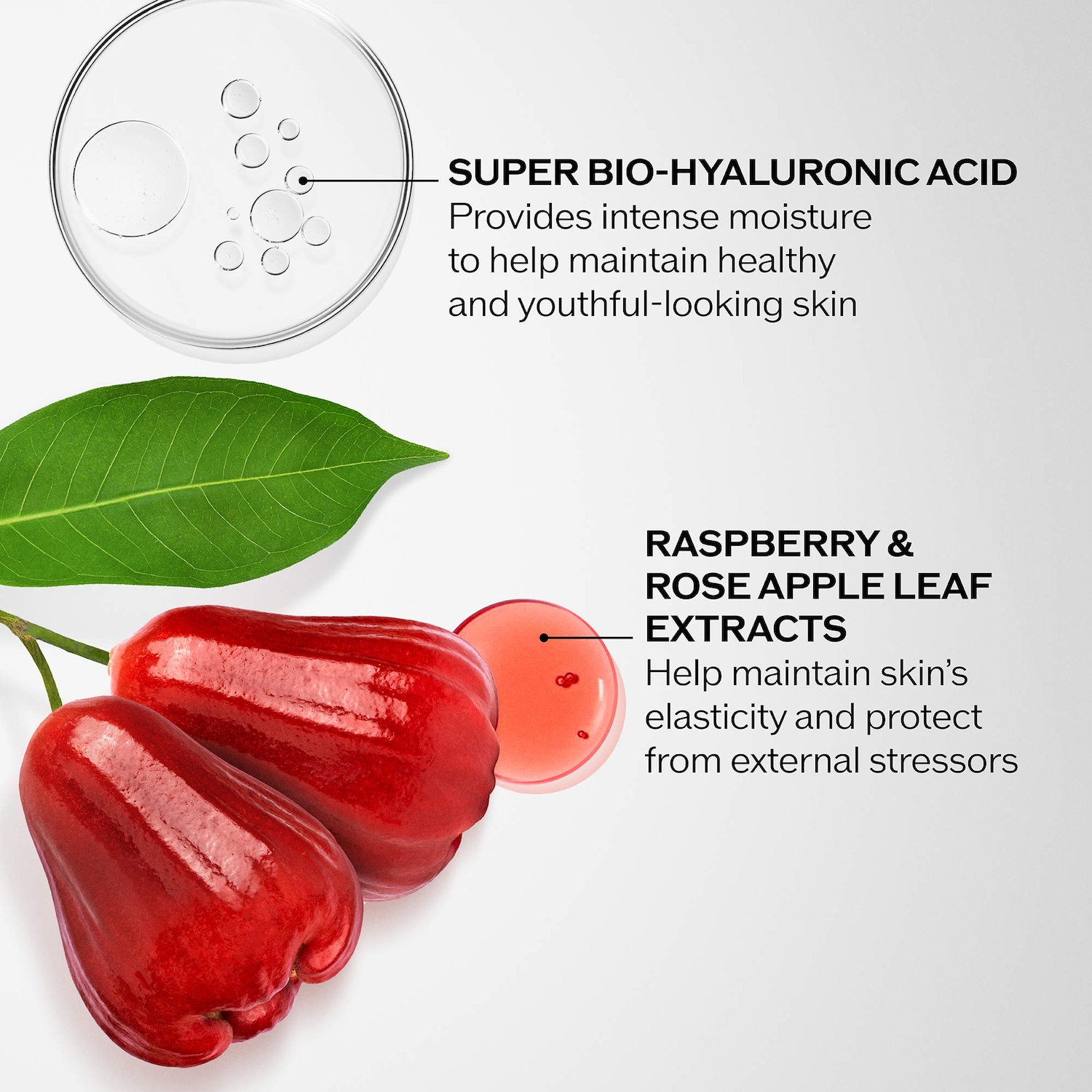 Bio-Performance Advanced Super Revitalizing Cream - Shiseido | Sephora