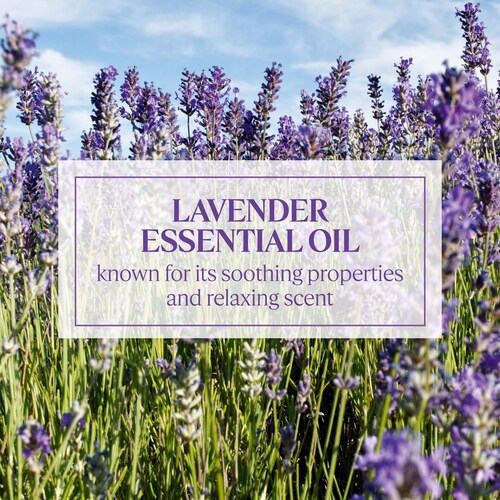 One of the primary advantages of using a shea butter hand cream is its exceptional moisturizing properties. Dry or dehydrated skin often leads to discomfort, flakiness, and cracking, especially in the hands. Applying this cream helps replenish the skin's moisture barrier, locking in hydration and preventing water loss. As a result, hands feel softer, smoother, and more supple.