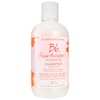 Hairdresser's Invisible Oil Shampoo