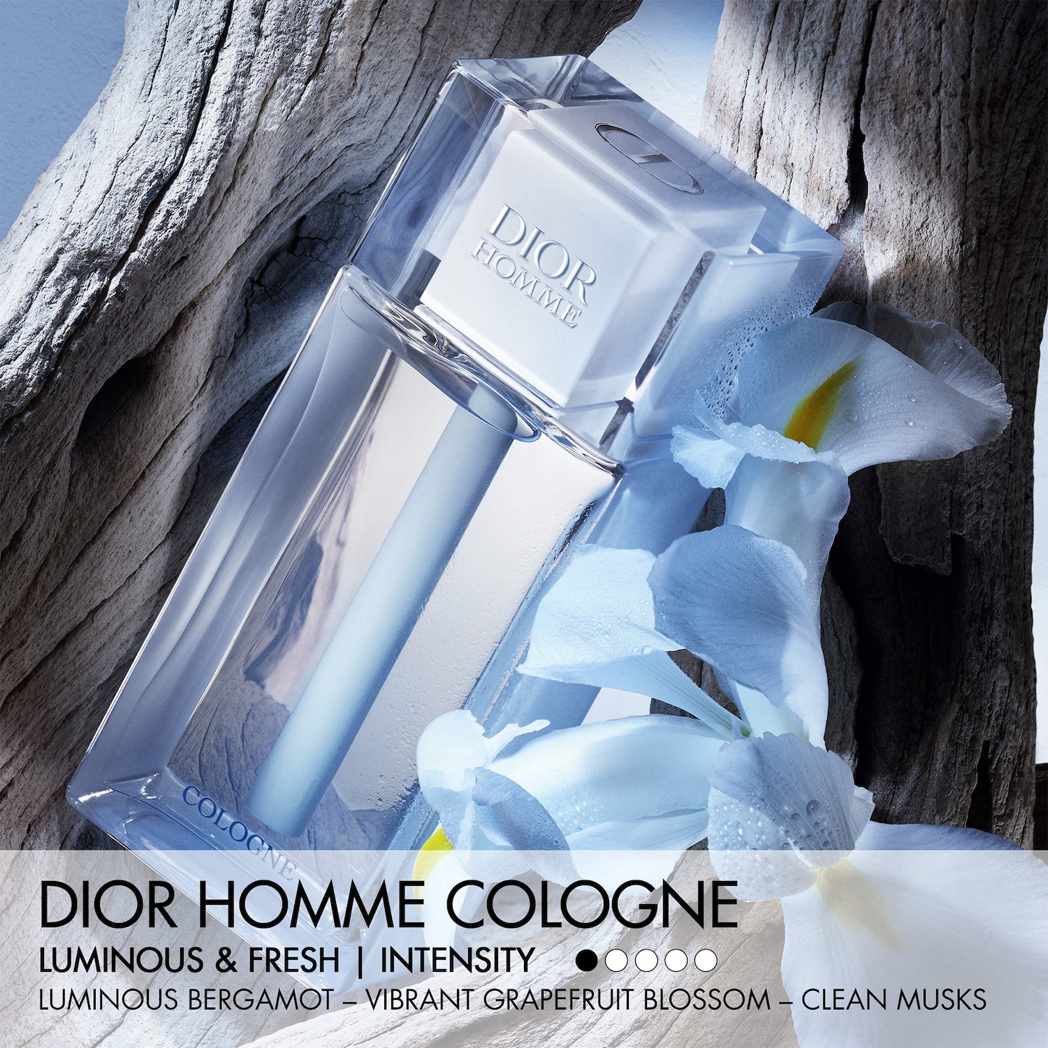 Dior Homme Cologne