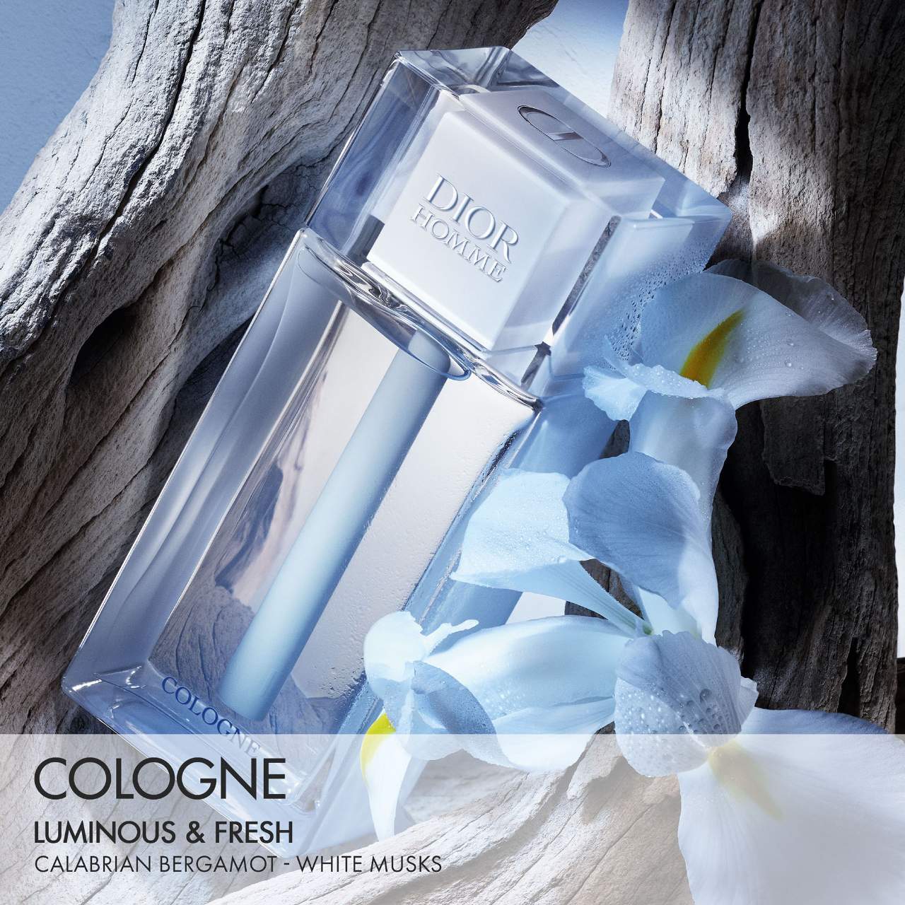その他 Dior Homme Cologne 125 Dior Homme Cologne - Dior | Sephora