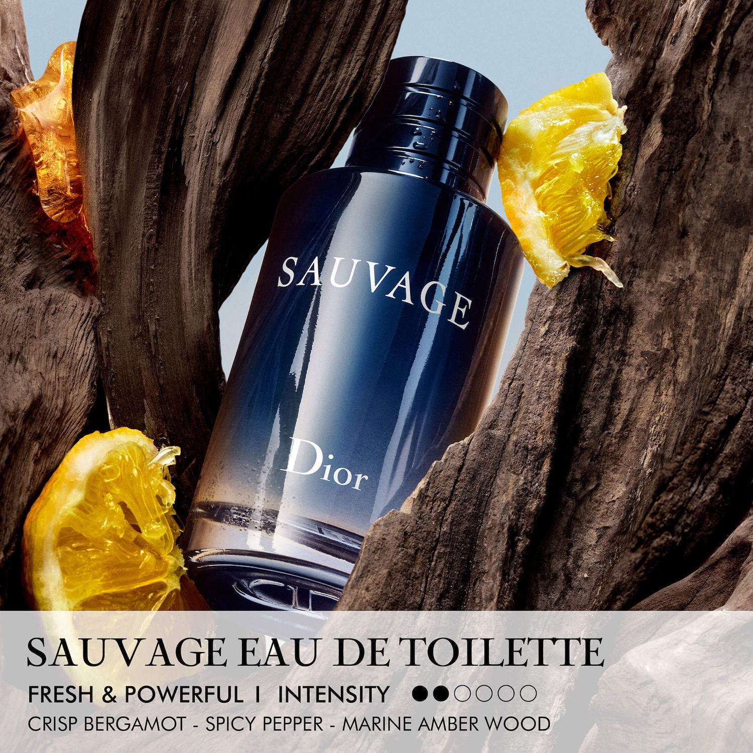 Sauvage Eau de Toilette - Dior | Sephora