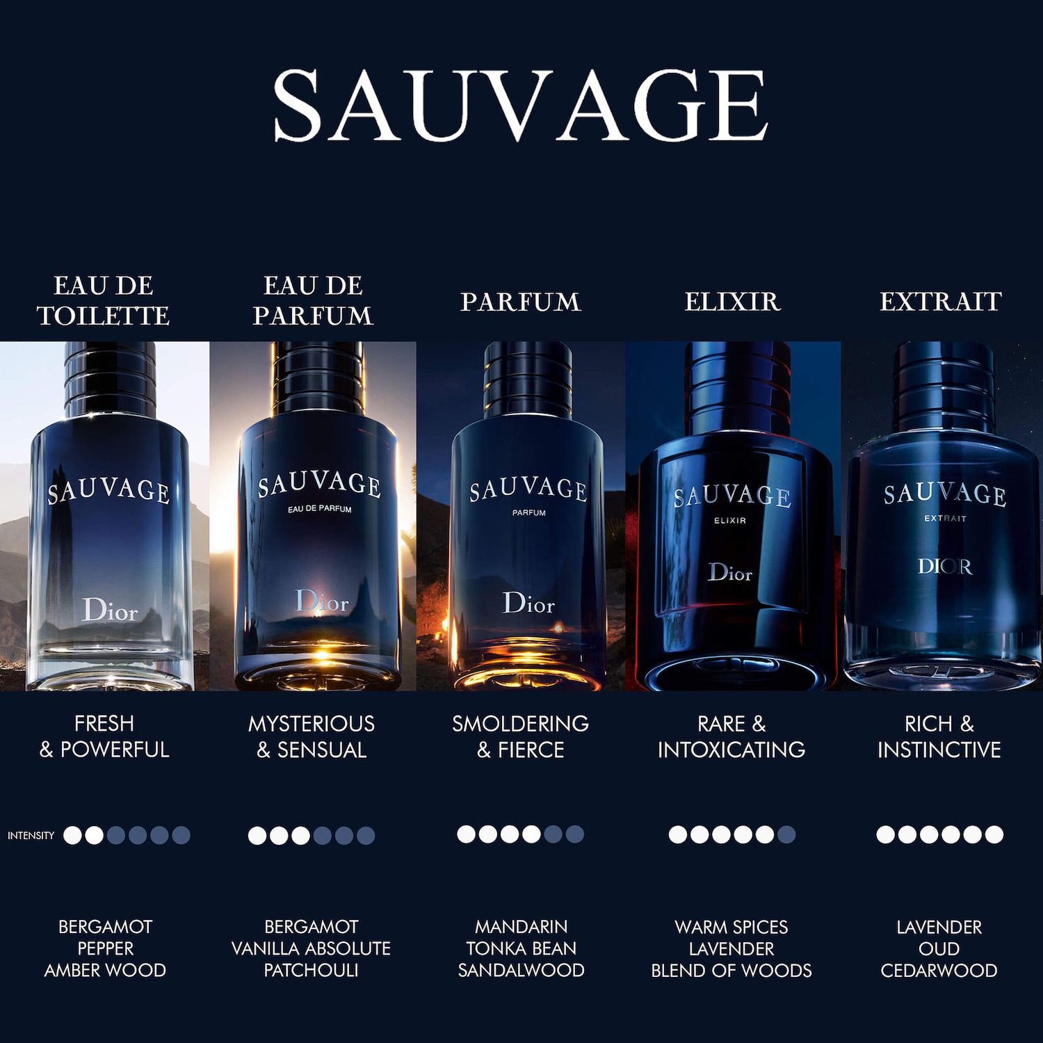 Sauvage Eau de Toilette - Dior | Sephora