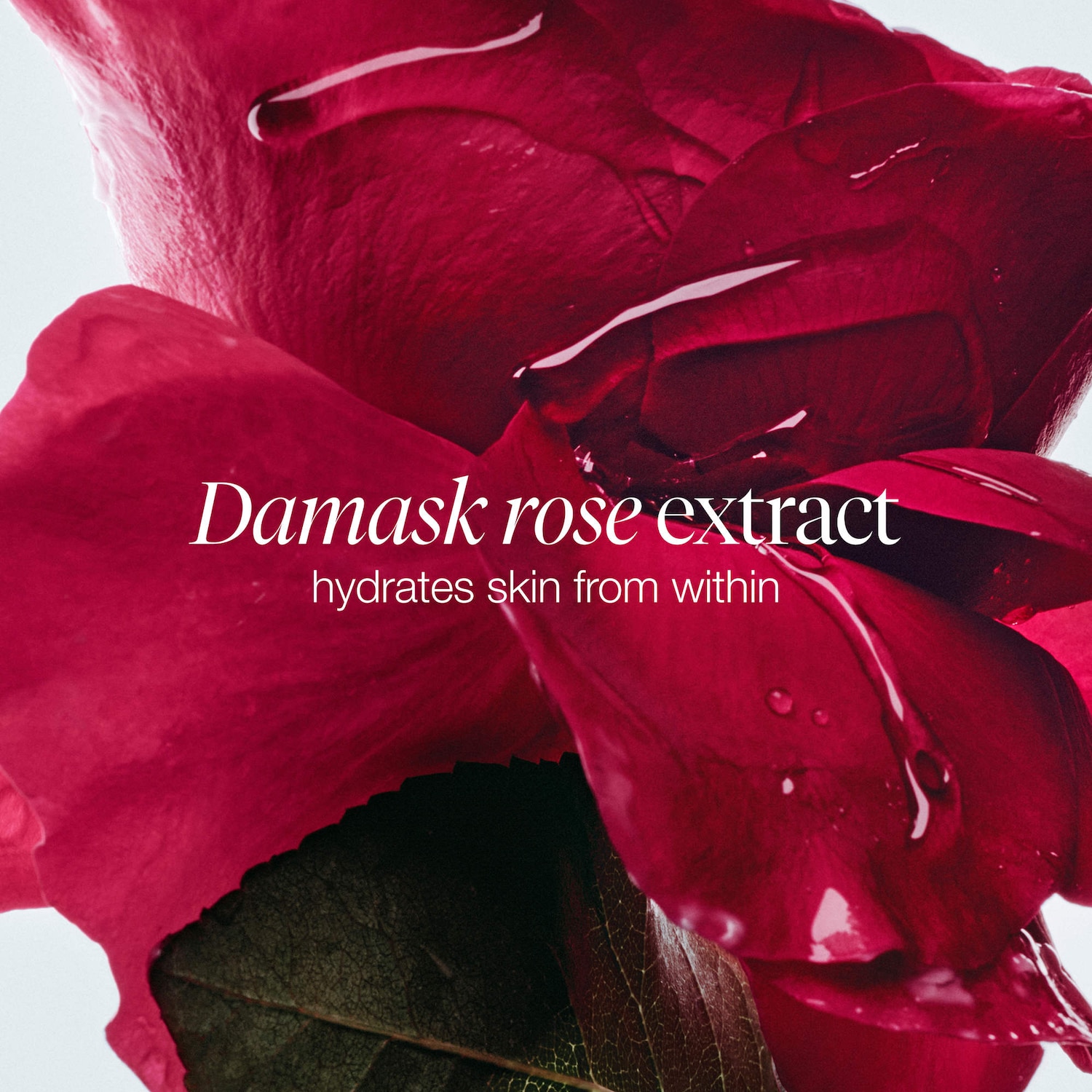 Rose & Hyaluronic Acid Deep Hydration Toner