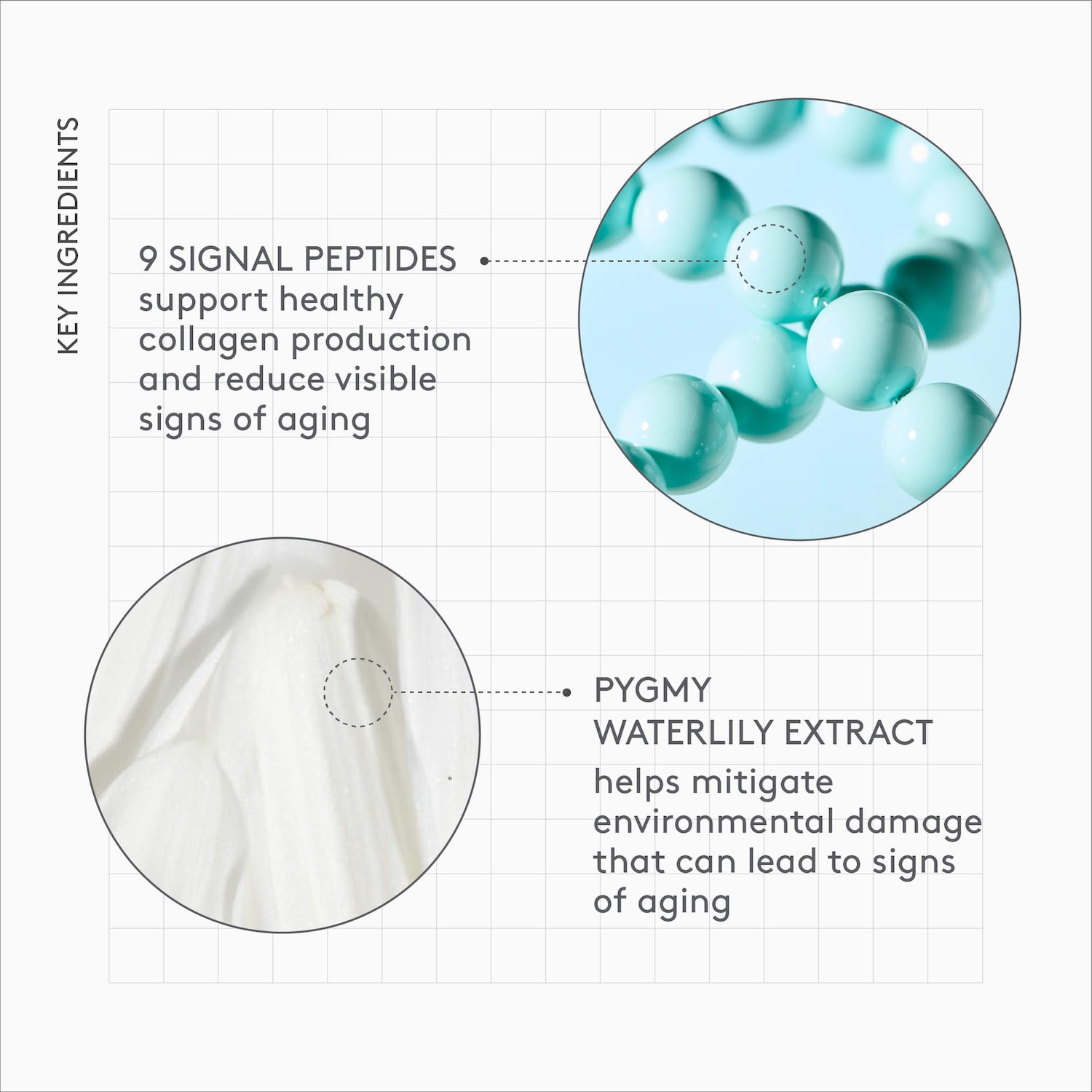 Protini™ Polypeptide Firming Refillable Moisturizer