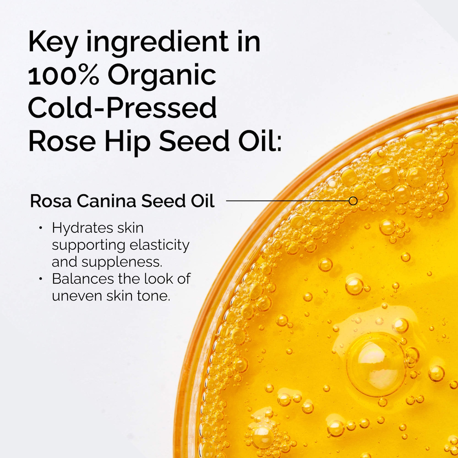  100% Organic Cold-Pressed Rose Hip Seed Oil for Skin Elascicity