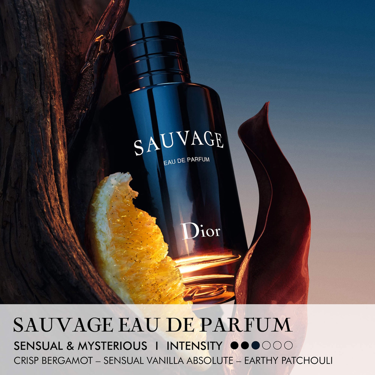Sauvage Eau de Parfum - Dior | Sephora