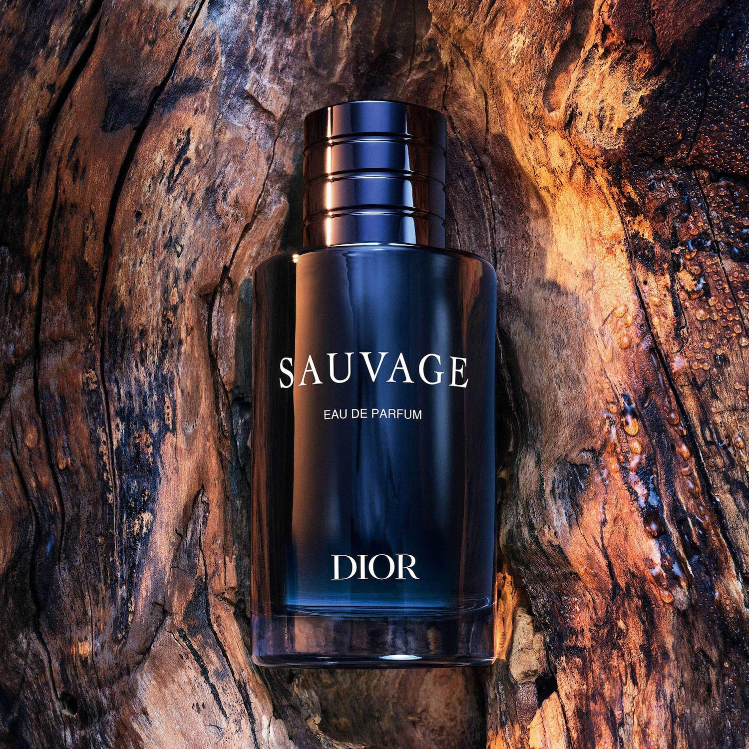 Sauvage Eau de Parfum - Dior | Sephora