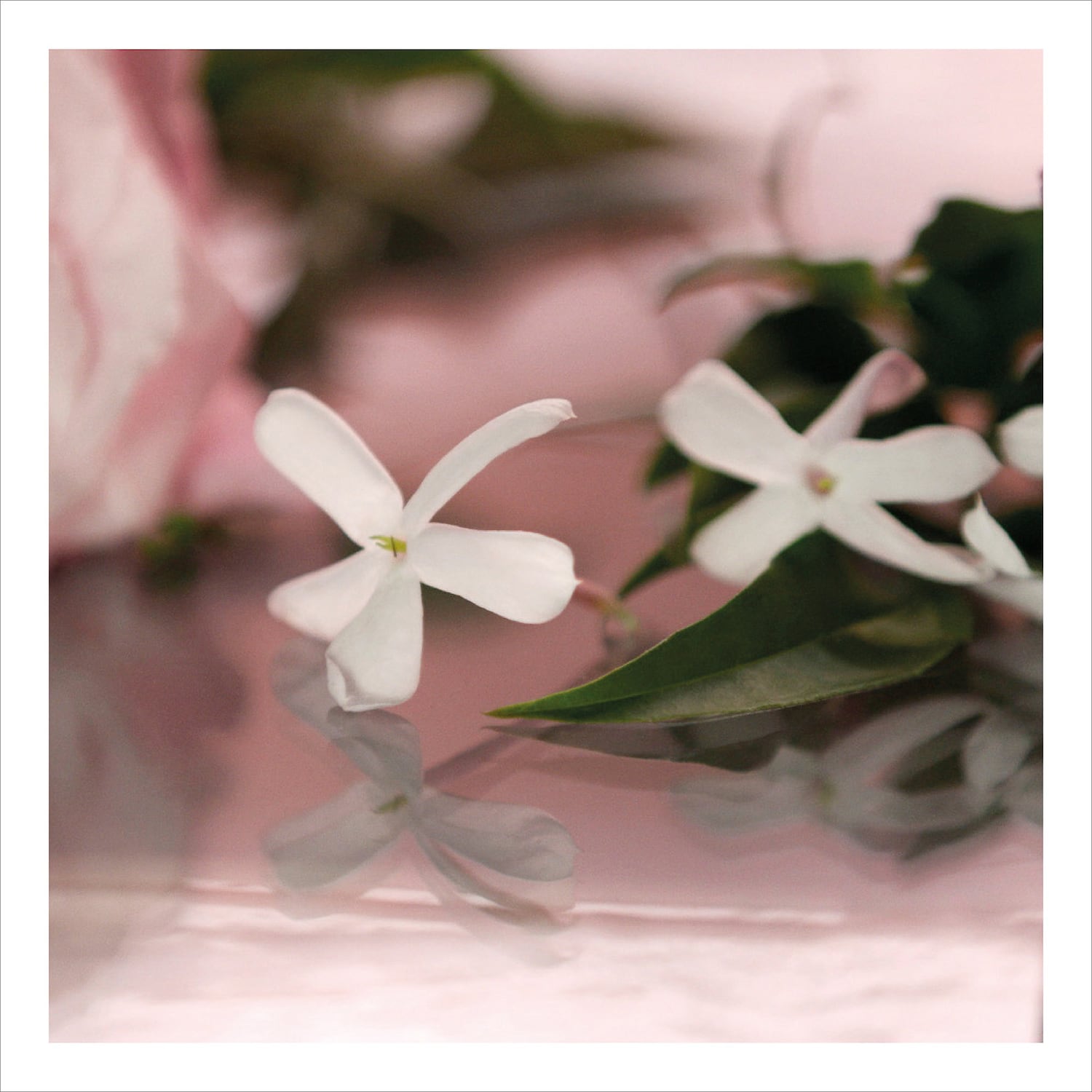 gucci bloom 100ml sephora