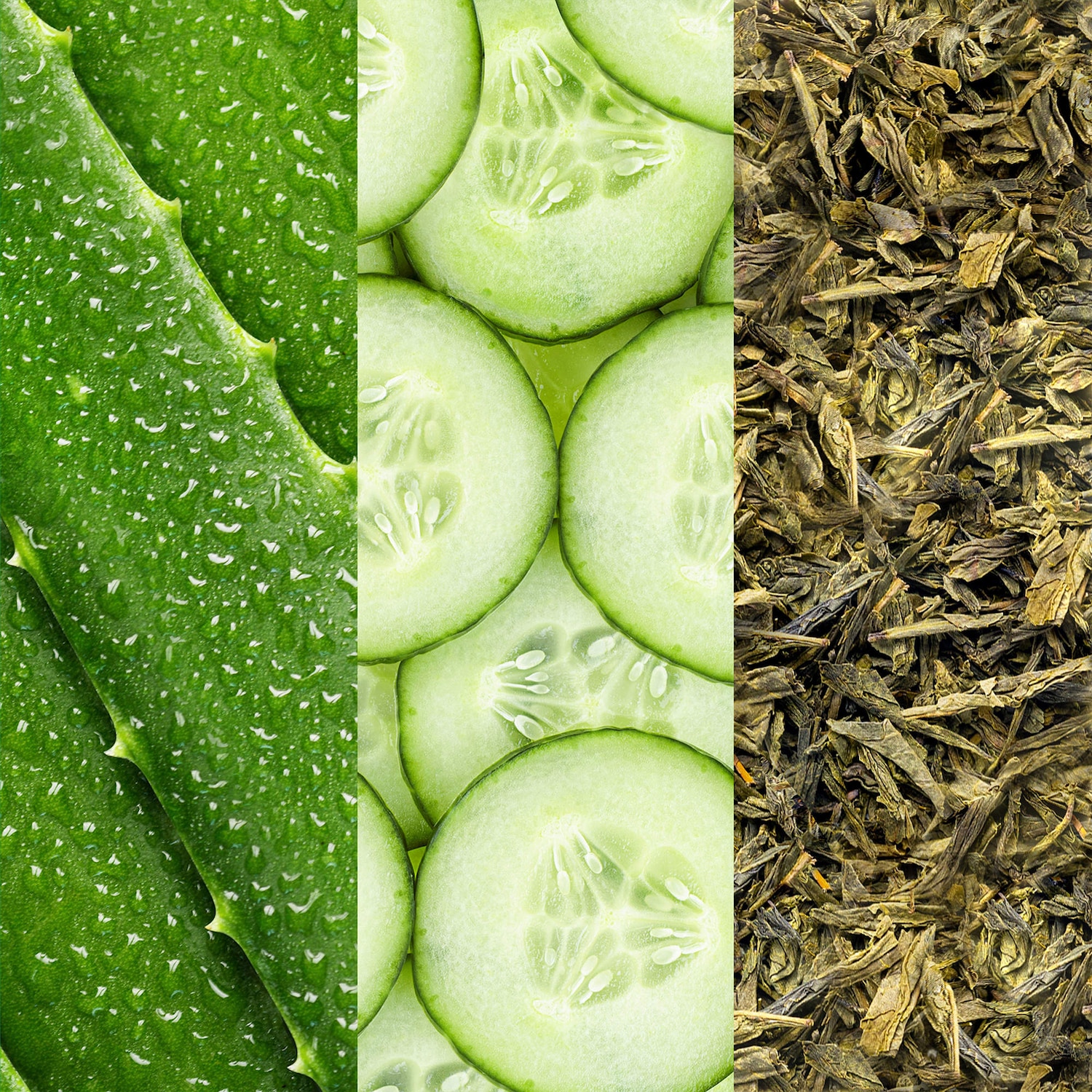 Vaporisateur pour le visage à l'aloès, au concombre et thé vert