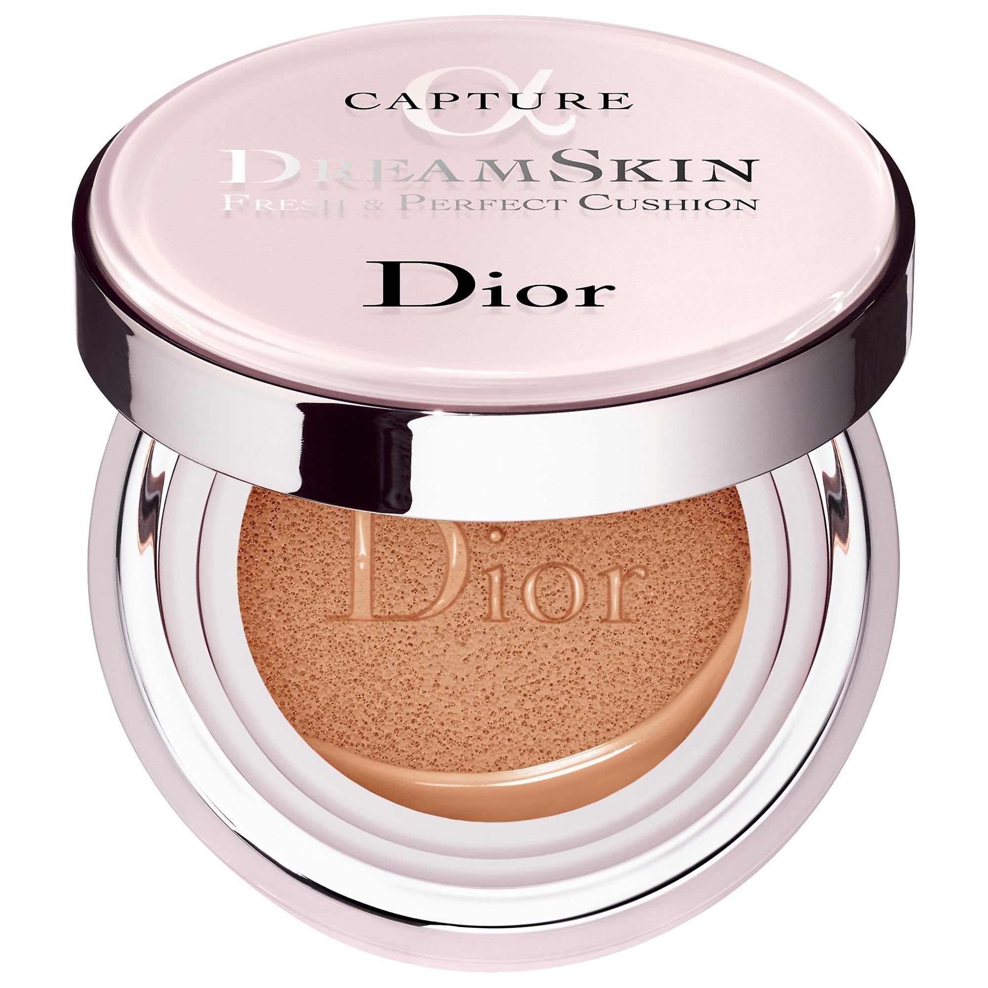 cushion dior mini