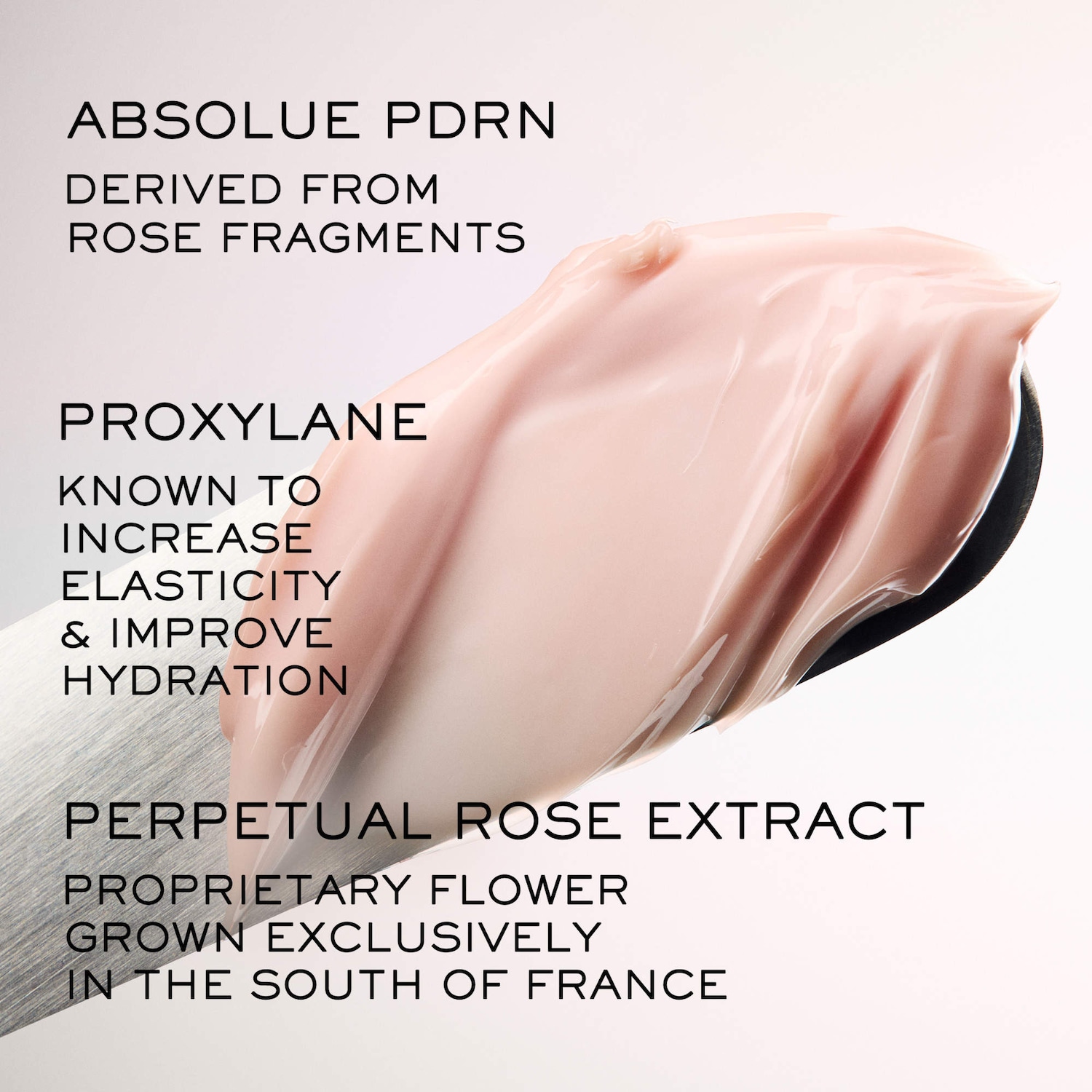 Absolue Soft Cream Revitalizing & Brightening Moisturizer - Lanc&