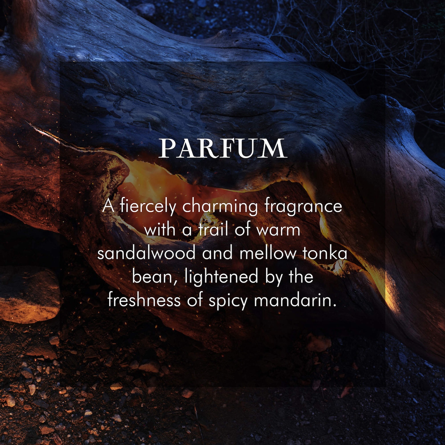 Sauvage Parfum