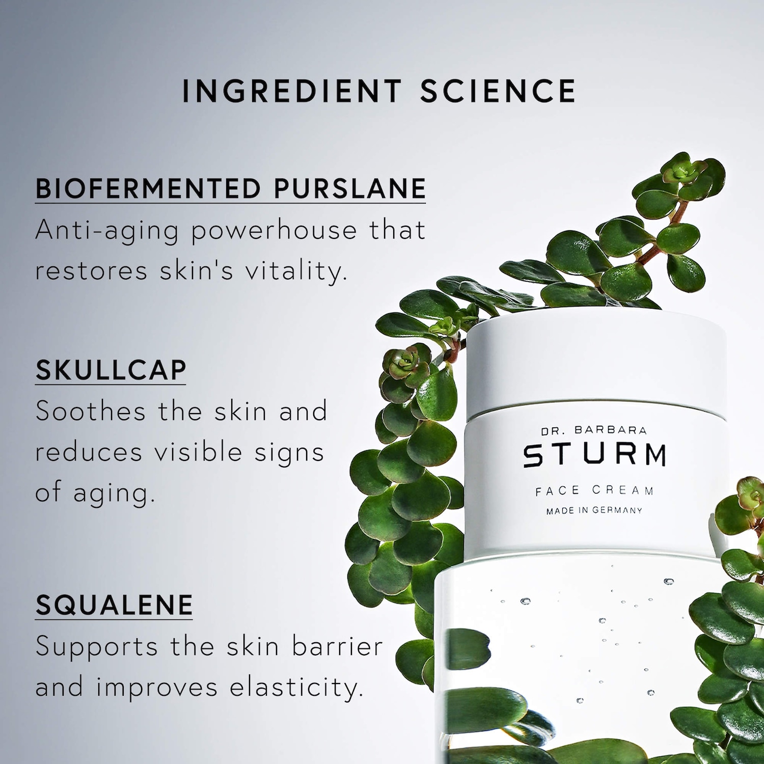 Face Cream - Dr. Barbara Sturm | Sephora